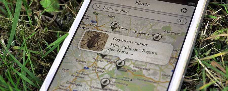 Käfer auf einer interaktiven Karte anzeigen/finden